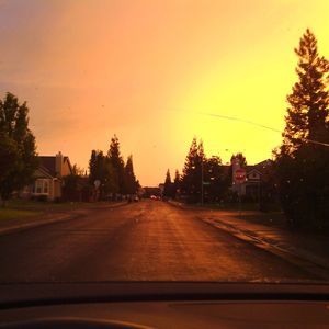 Meet your Posher, George